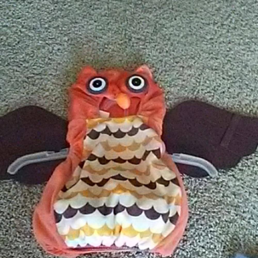 Owl Costume 9-18 months